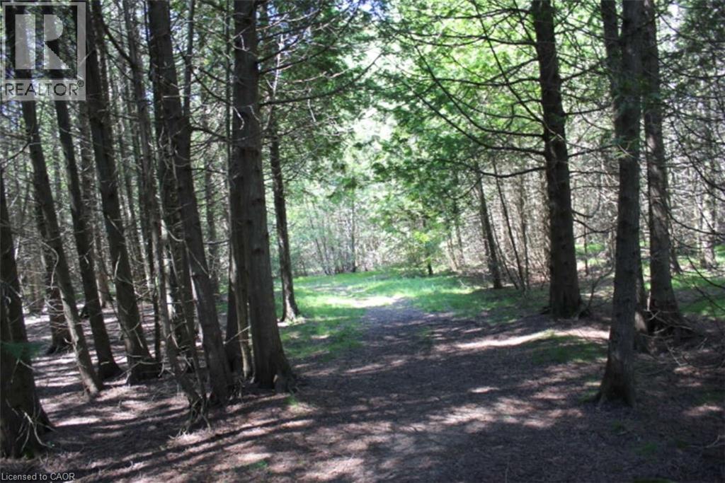 19-45 Spry Lake Road, Oliphant, Ontario  N0H 2T0 - Photo 2 - 40620784