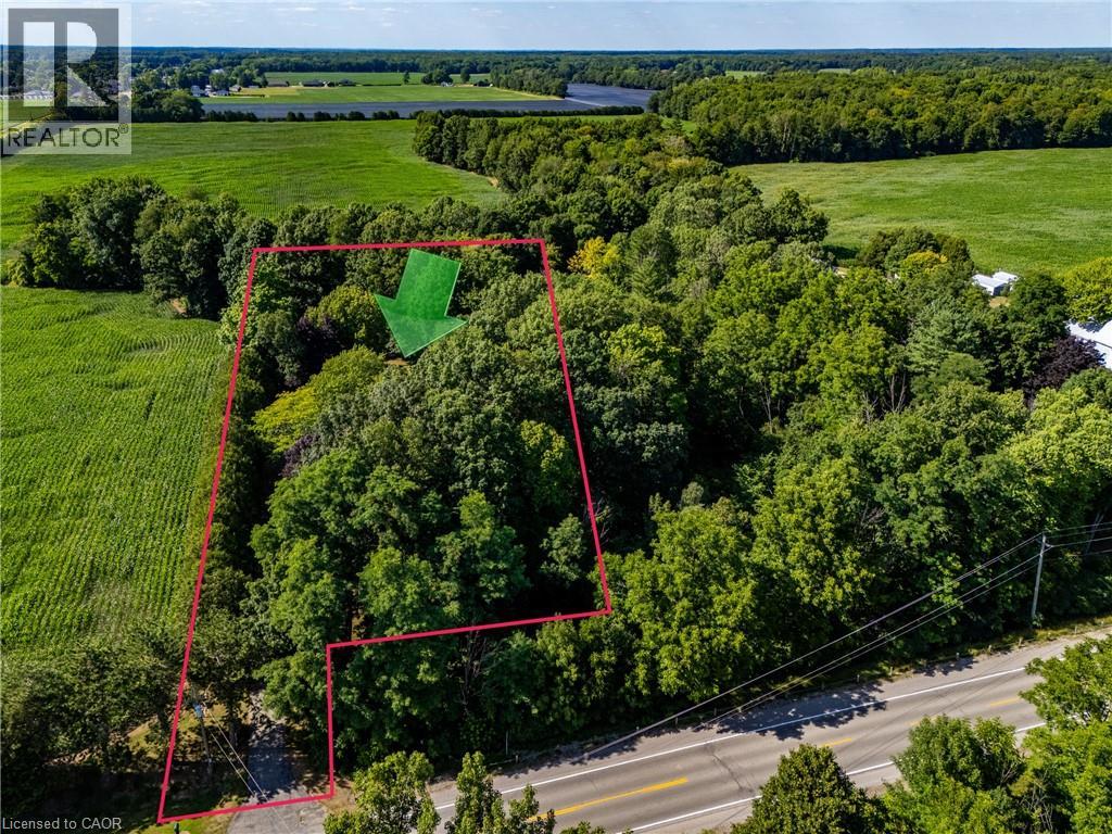 21 Mcdowell Road W, Langton, Ontario  N0E 1G0 - Photo 44 - 40679931