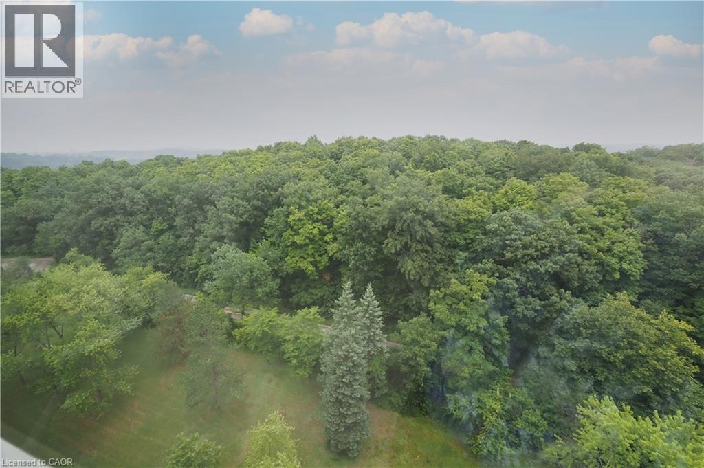 35 Green Valley Drive Unit# 1601, Kitchener, Ontario  N2P 2A5 - Photo 16 - 40756578