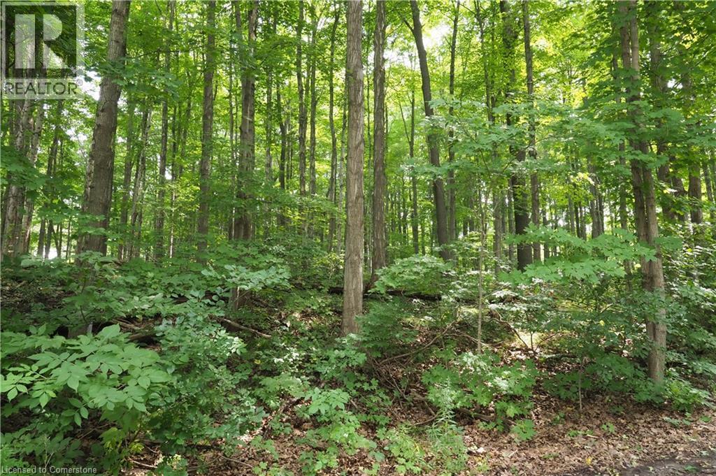 35 Green Valley Drive Unit# 1601, Kitchener, Ontario  N2P 2A5 - Photo 44 - 40756578