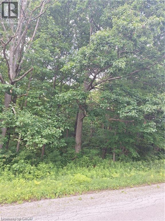 839 Windham Rd 12 Road, Delhi, Ontario  N3Y 4K6 - Photo 2 - 40740988