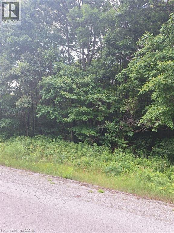839 Windham Rd 12 Road, Delhi, Ontario  N3Y 4K6 - Photo 3 - 40740988
