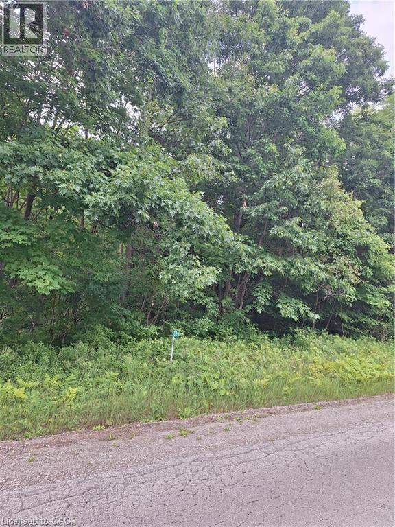 839 Windham Rd 12 Road, Delhi, Ontario  N3Y 4K6 - Photo 4 - 40740988