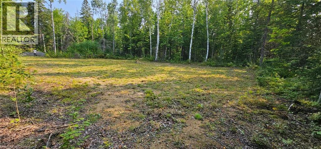 31 Arthur Street, Lake St. Peter, Ontario  K0L 2K0 - Photo 3 - 40760398