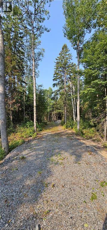 31 Arthur Street, Lake St. Peter, Ontario  K0L 2K0 - Photo 2 - 40760398