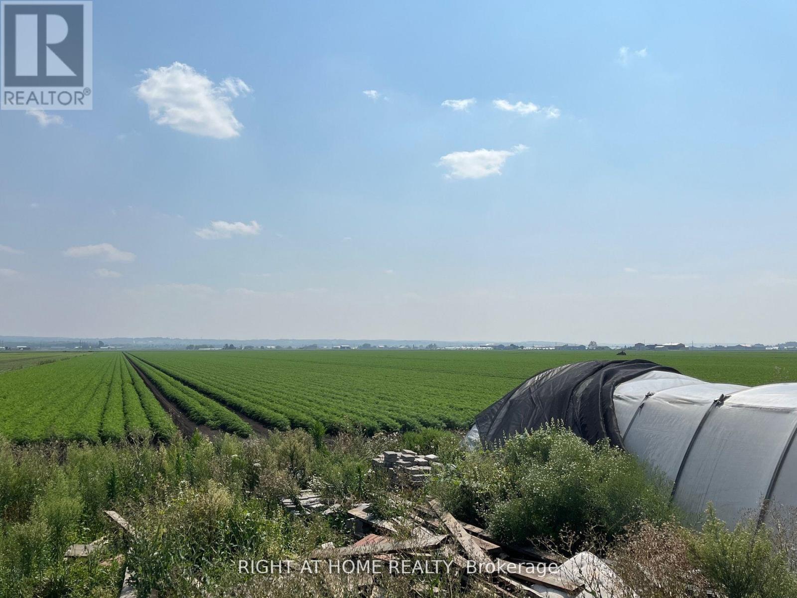 2643 Line 5, Bradford West Gwillimbury, Ontario  L3Z 4E6 - Photo 5 - N12353758