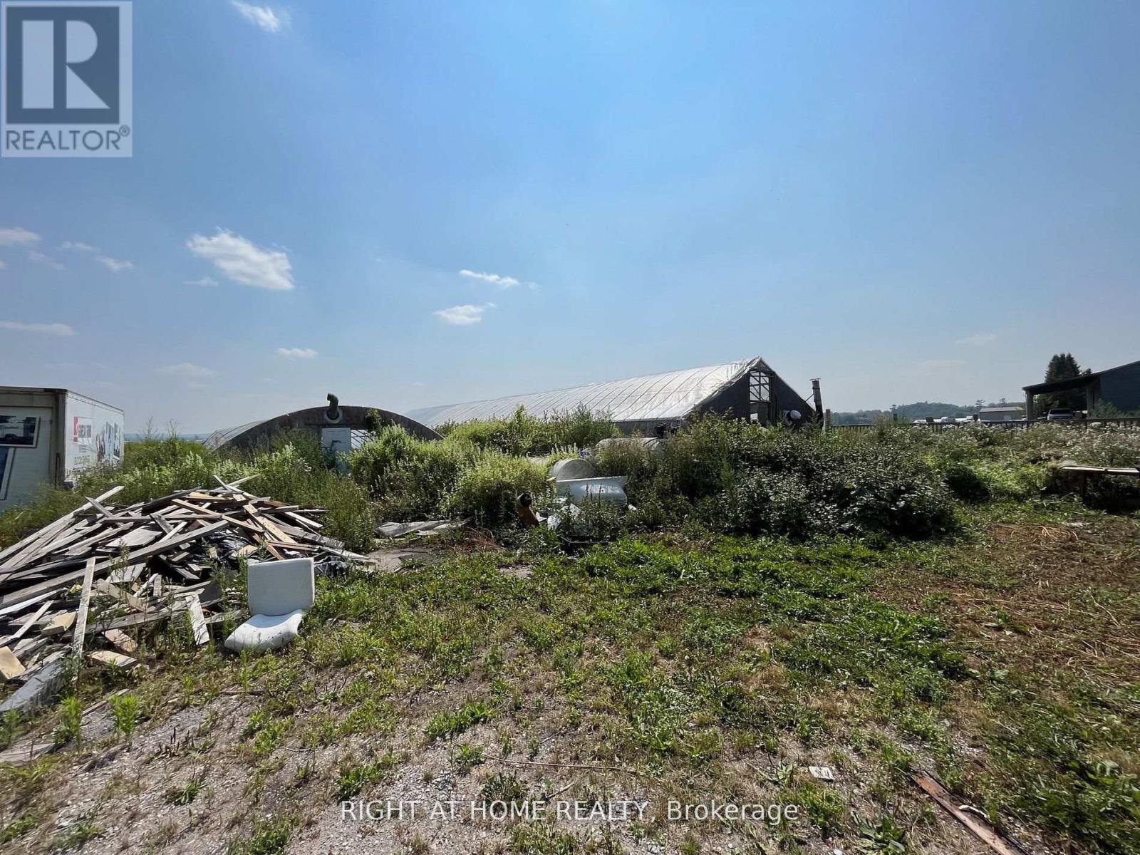 2643 Line 5, Bradford West Gwillimbury, Ontario  L3Z 4E6 - Photo 6 - N12353758