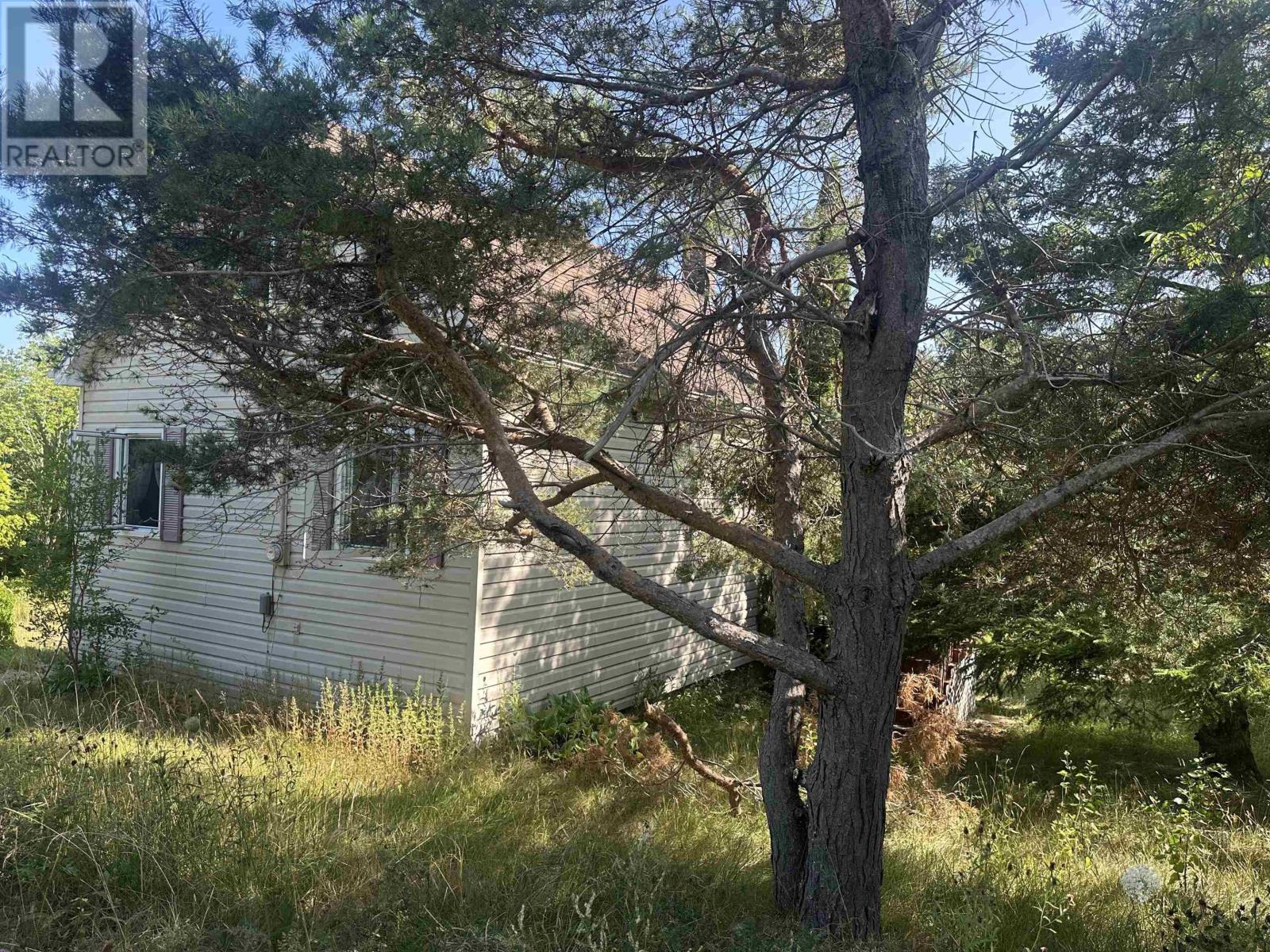 1316 Strathlorne-Scotsville Road, North Ainslie, Nova Scotia  B0E 1N0 - Photo 6 - 202521098