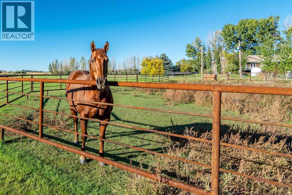 12027 Range Road 55, Rural Cypress County, Alberta  T1B 0L4 - Photo 40 - A2249788