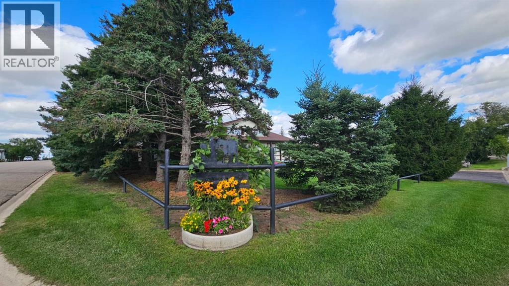 200 Loyalist Avenue, Veteran, Alberta  T0C 2S0 - Photo 3 - A2249394