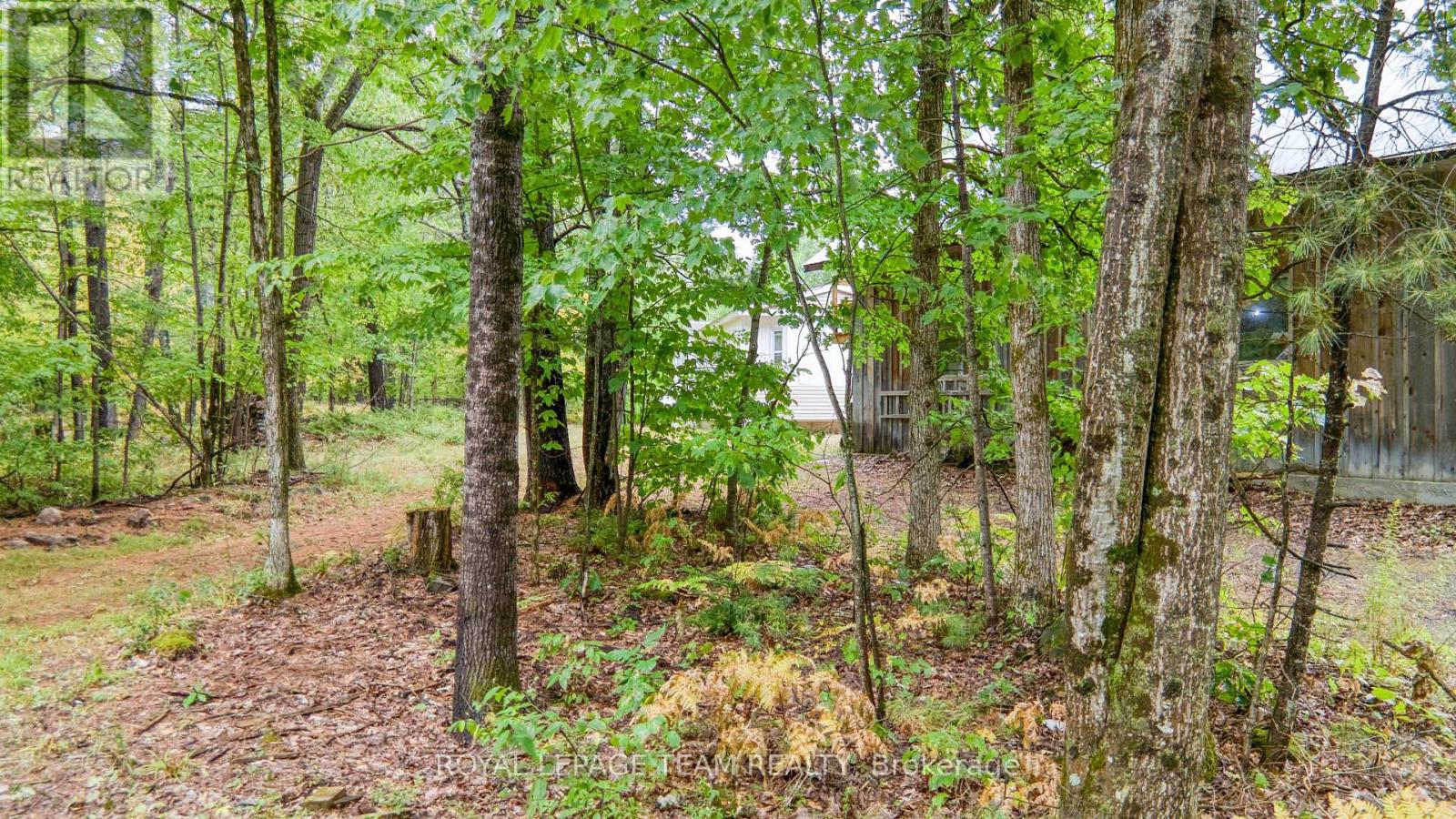 200 Smith Lane, Mississippi Mills, Ontario  K0A 2X0 - Photo 40 - X12353884