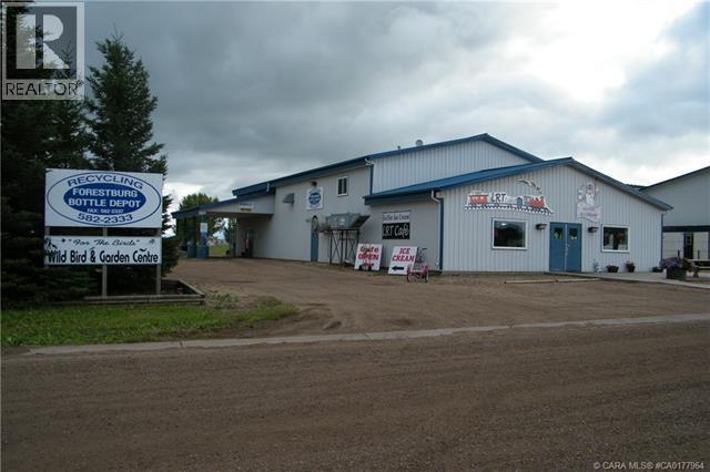 4706 43 Avenue, Forestburg, Alberta  T0B 1N0 - Photo 2 - CA0177964