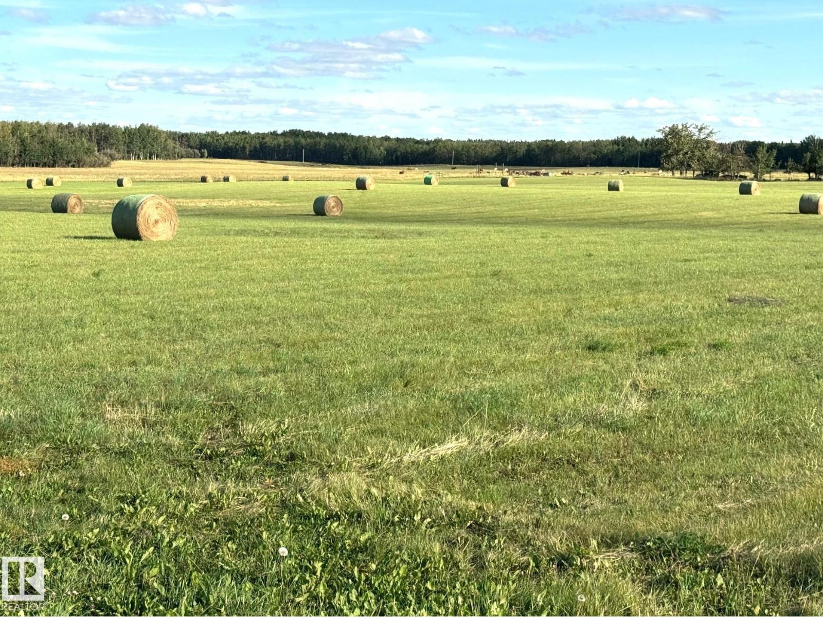 542a Rrd 92, Rural Yellowhead, Alberta  T0E 2M0 - Photo 4 - E4453773