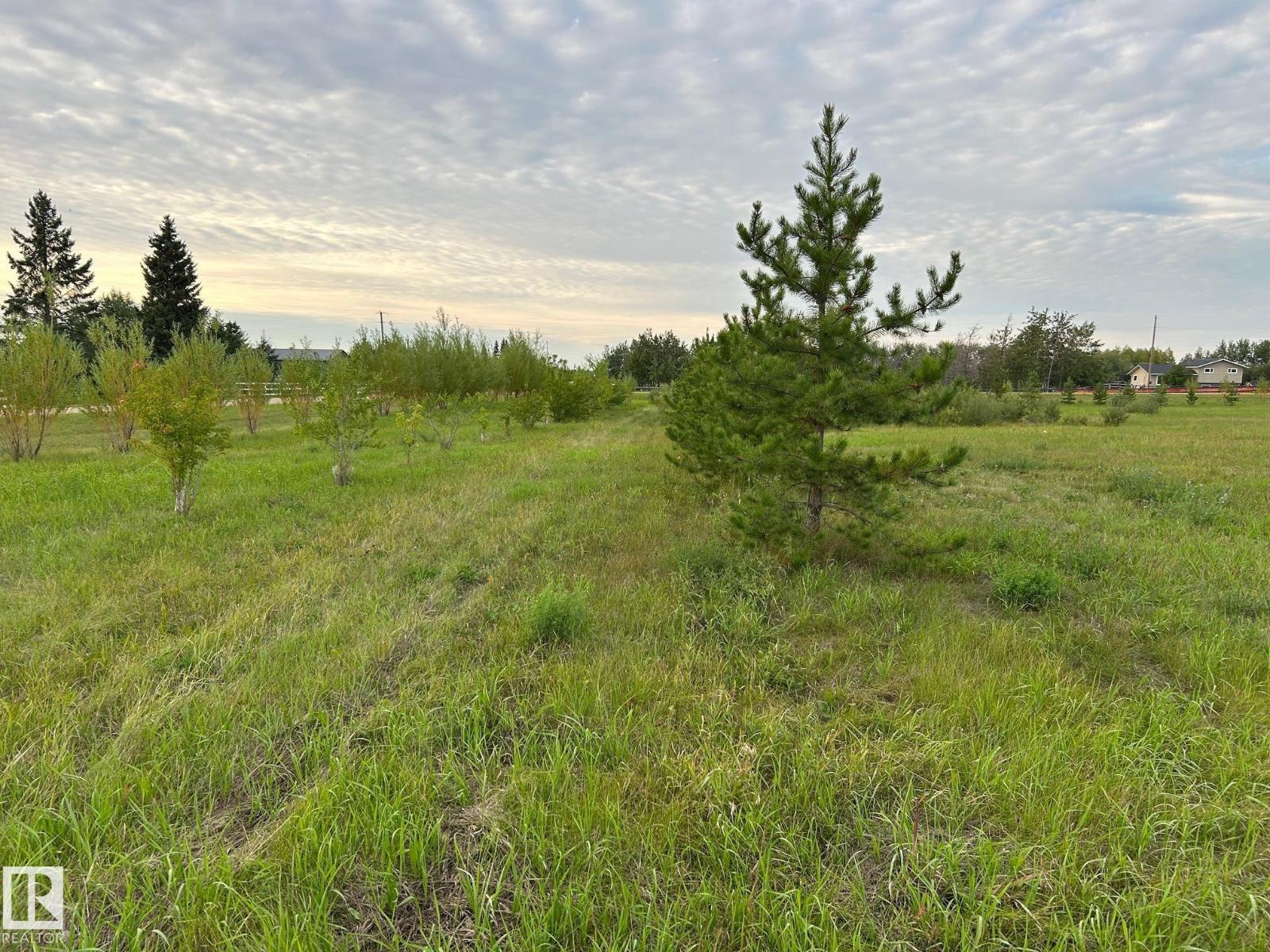 #206 23229 Sh 651, Rural Sturgeon County, Alberta  T0A 1N6 - Photo 5 - E4453775
