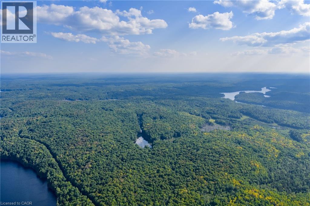 2724 & 2726 Kushog Lake Road, Haliburton, Ontario  K0M 1J2 - Photo 29 - 40761778