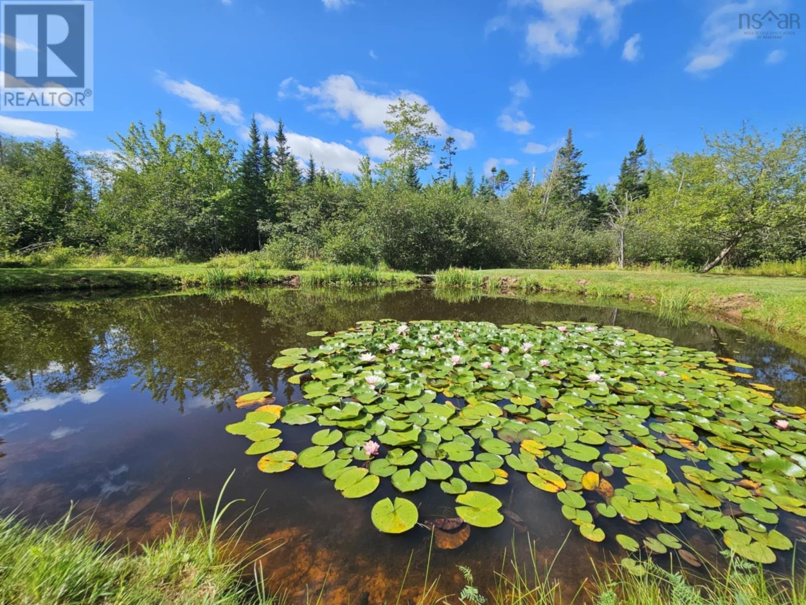 291 Crowes Mills Road, Crowes Mills, Nova Scotia  B6L 5B1 - Photo 14 - 202521019