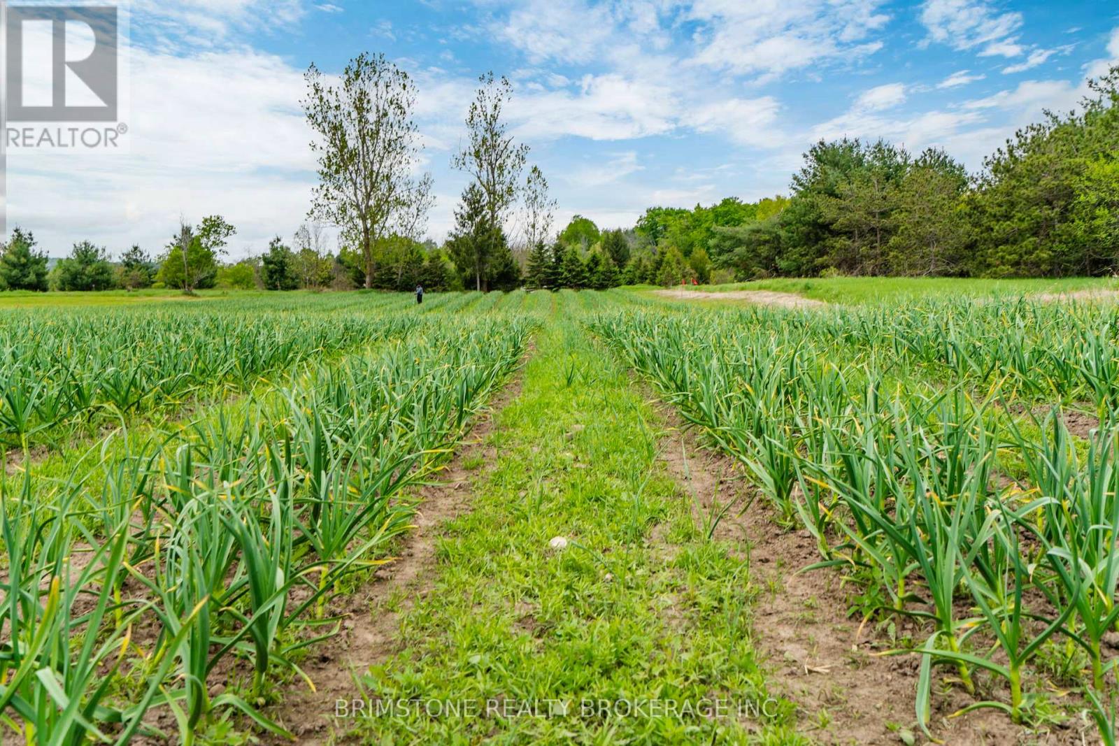 936488 Dufferin County Road 18 Road, Mulmur, Ontario  L9V 0L5 - Photo 42 - X12354155