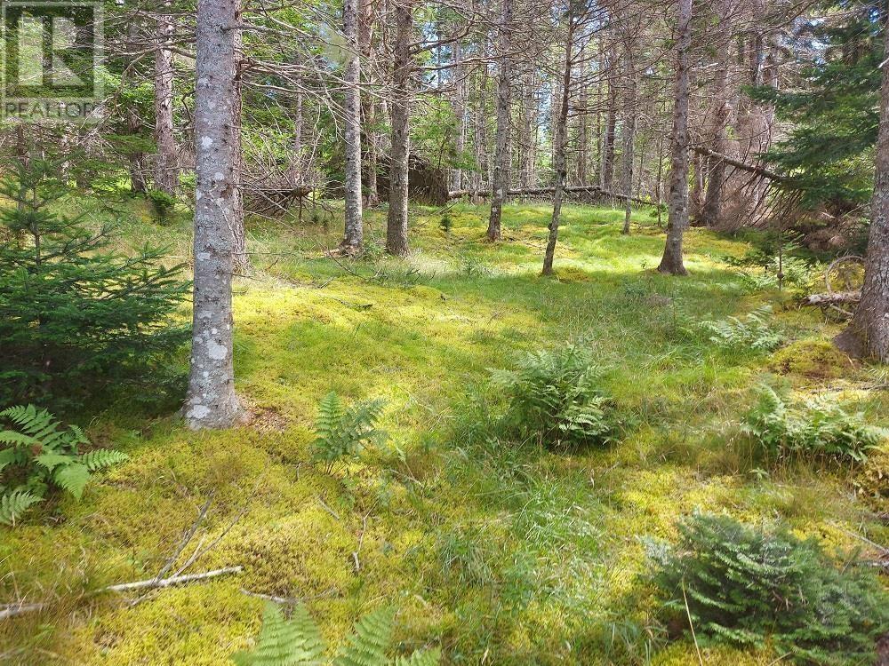 2b Wall Street, Cape George, Nova Scotia  B0E 3B0 - Photo 11 - 202521129