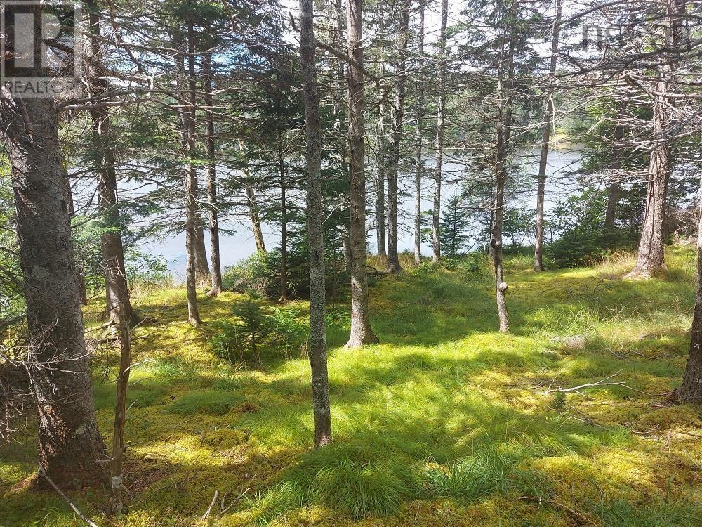 2b Wall Street, Cape George, Nova Scotia  B0E 3B0 - Photo 13 - 202521129