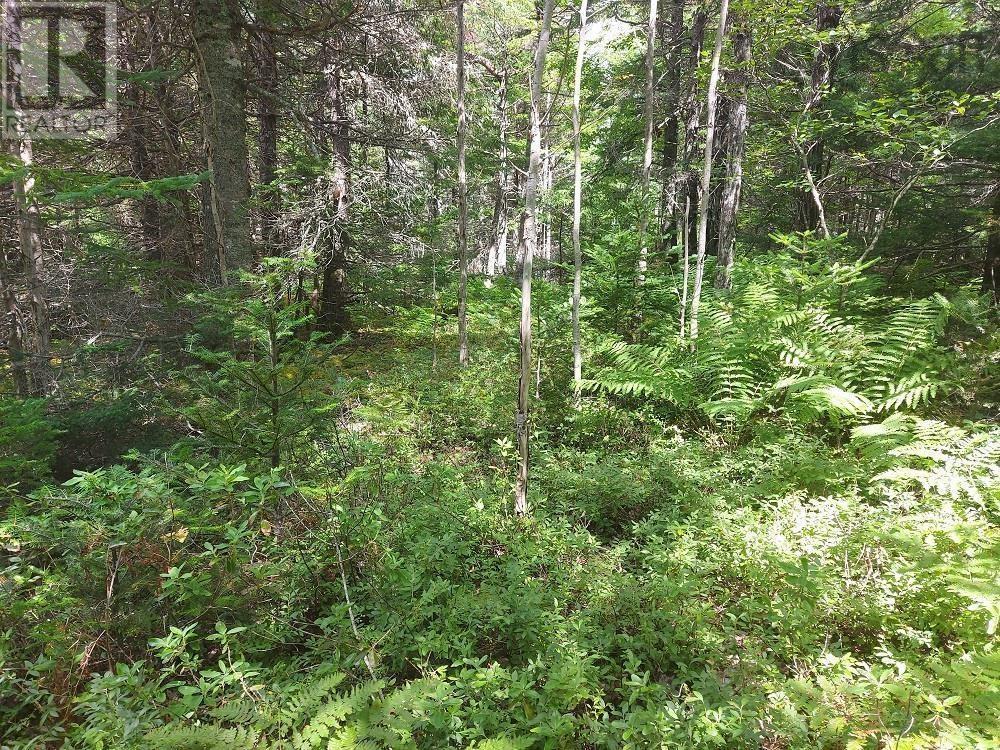 2b Wall Street, Cape George, Nova Scotia  B0E 3B0 - Photo 18 - 202521129