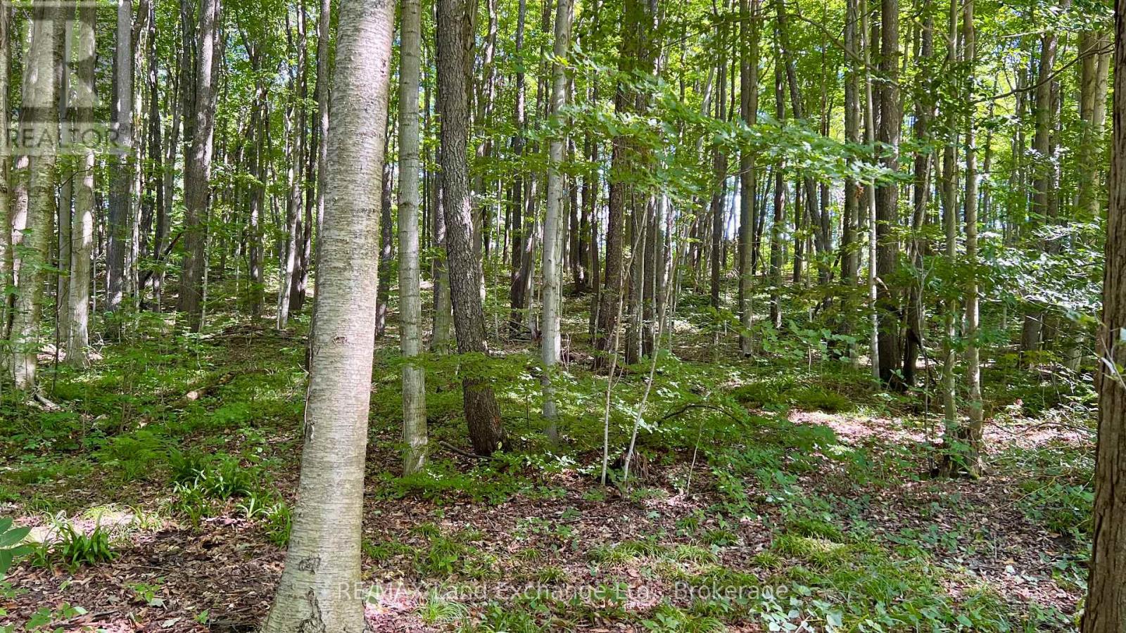 36718a River Road, Ashfield-Colborne-Wawanosh, Ontario  N0G 2H0 - Photo 4 - X12354219