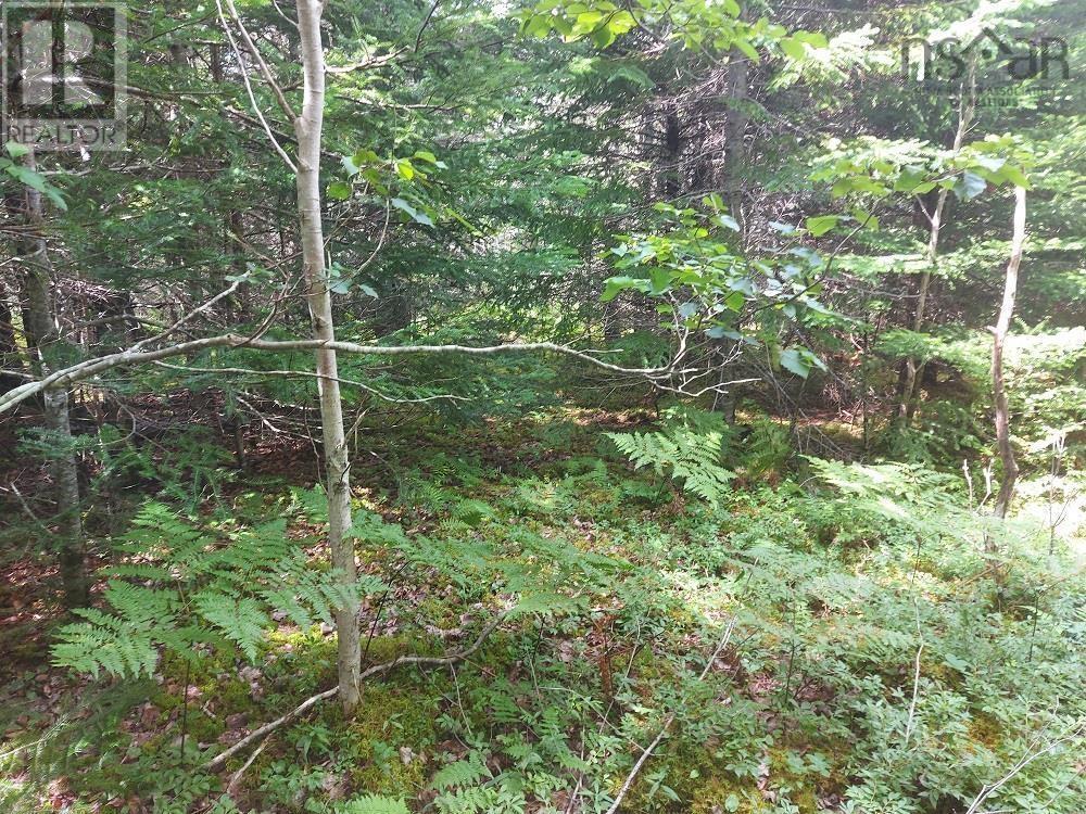 2b Wall Street, Cape George, Nova Scotia  B0E 3B0 - Photo 19 - 202521129