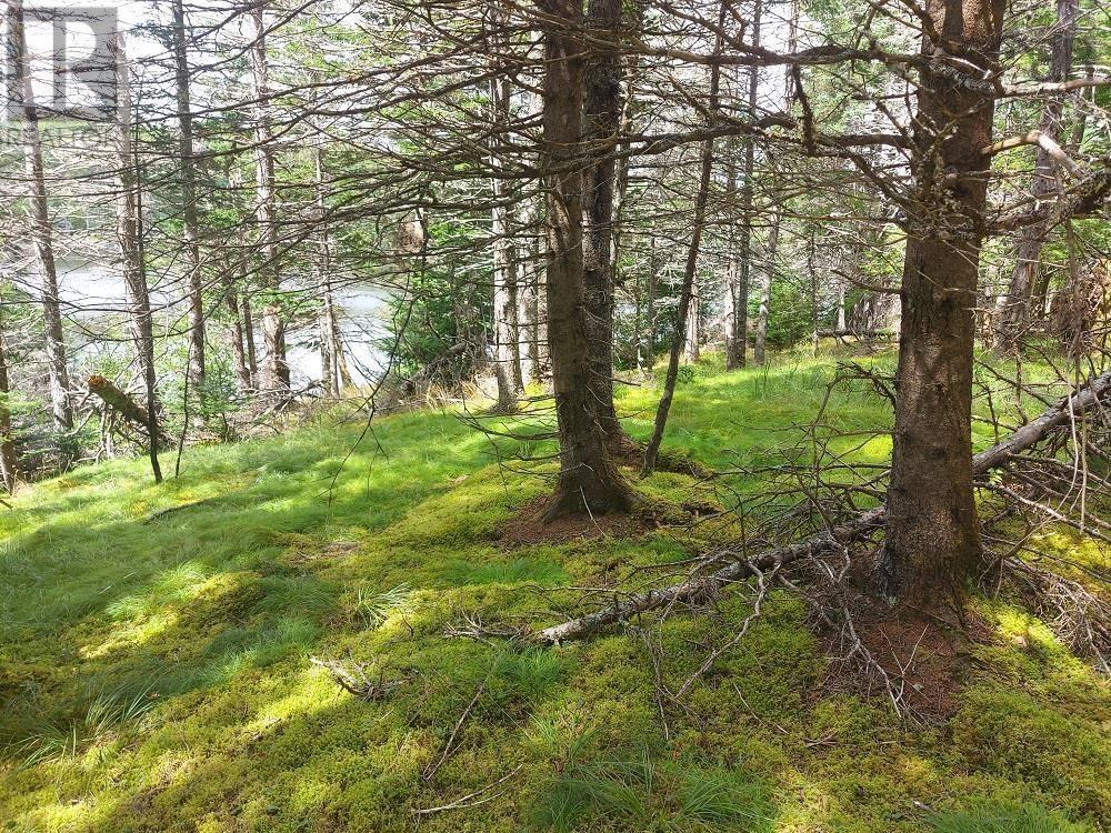 2b Wall Street, Cape George, Nova Scotia  B0E 3B0 - Photo 26 - 202521129