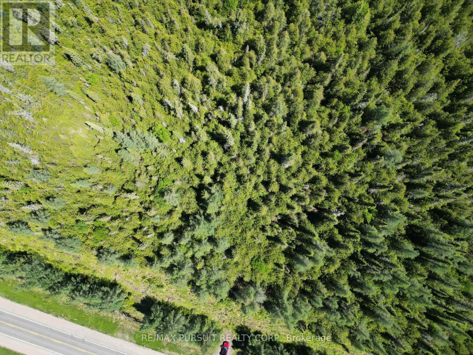 Lt4,c6 Hwy 11 Highway, Kirkland Lake, Ontario P0L 1H0 - Photo 27 - T12352342