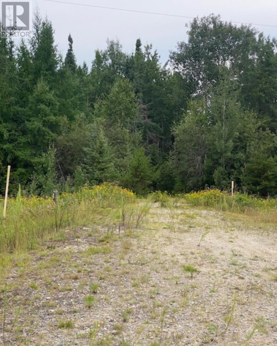 Gaye St, Kenora, Ontario  P9N 0A8 - Photo 13 - TB252580