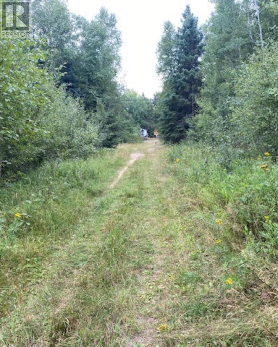 Gaye St, Kenora, Ontario  P9N 0A8 - Photo 3 - TB252580