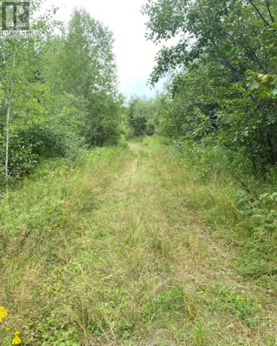 Gaye St, Kenora, Ontario  P9N 0A8 - Photo 4 - TB252580