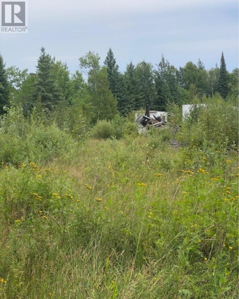 Gaye St, Kenora, Ontario  P9N 0A8 - Photo 7 - TB252580