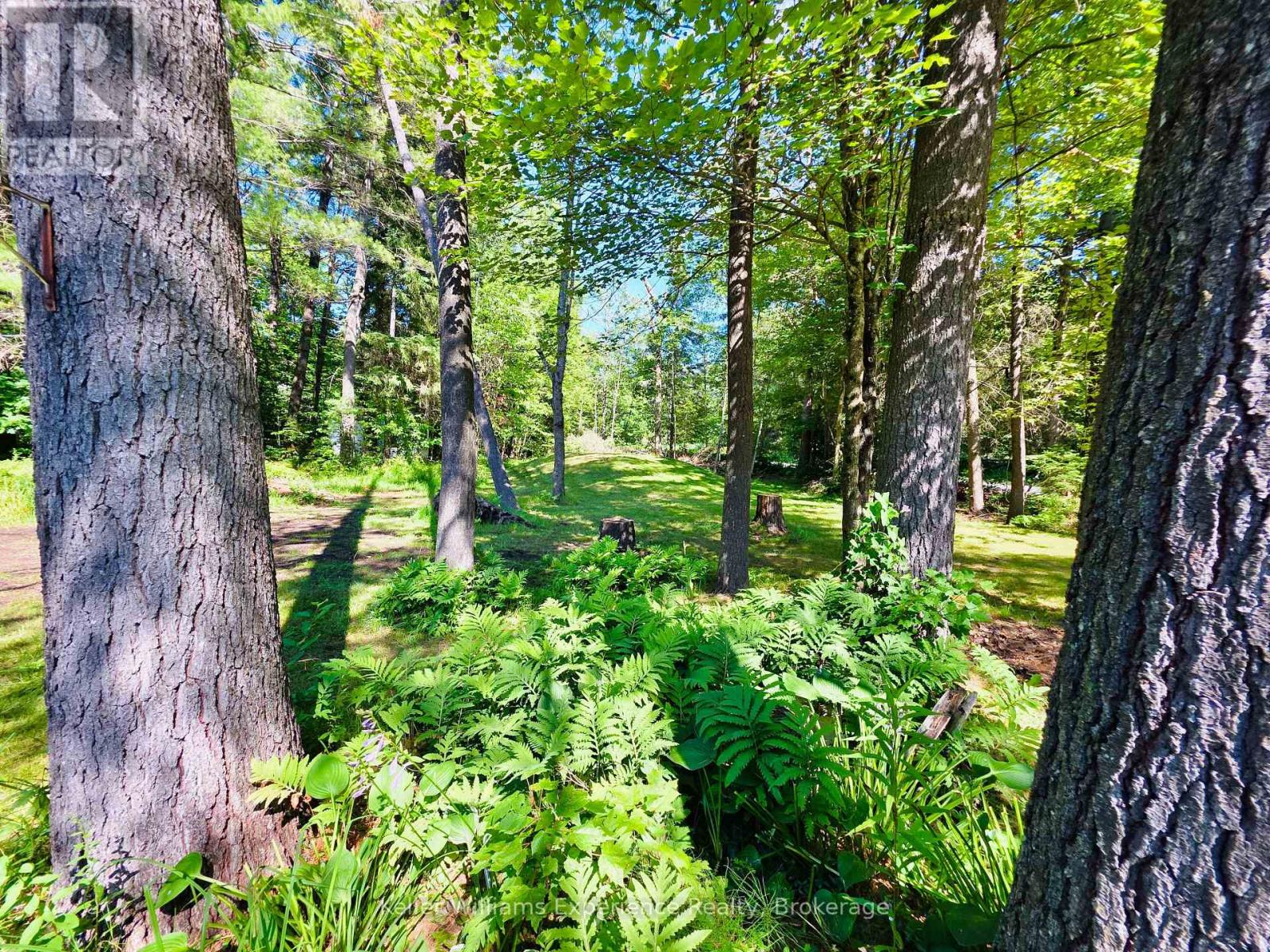 1186 Falkenburg Road, Bracebridge, Ontario  P1L 1X4 - Photo 6 - X12332228