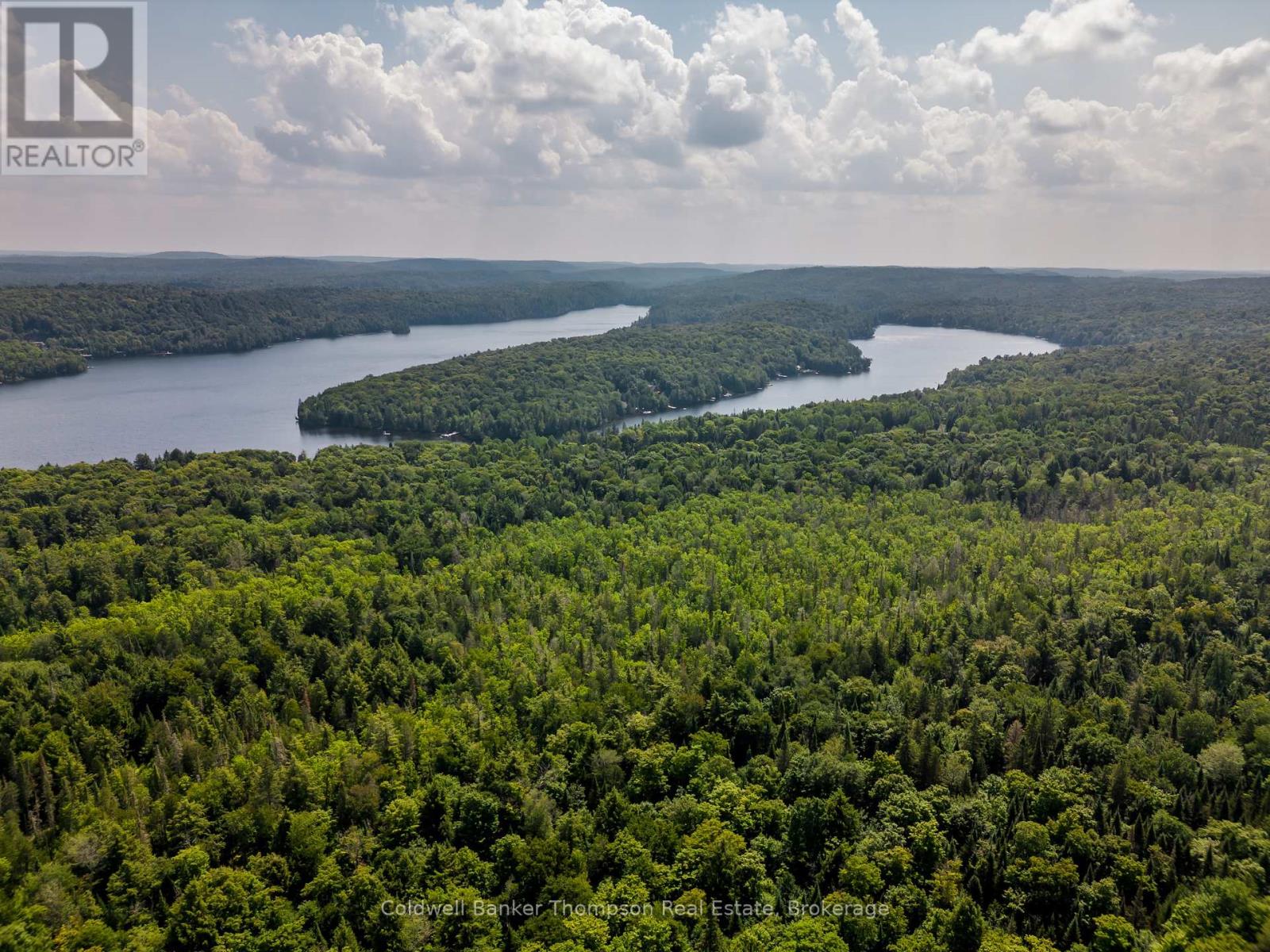 2341 Limberlost Road, Lake Of Bays, Ontario  P1H 2J6 - Photo 50 - X12354616