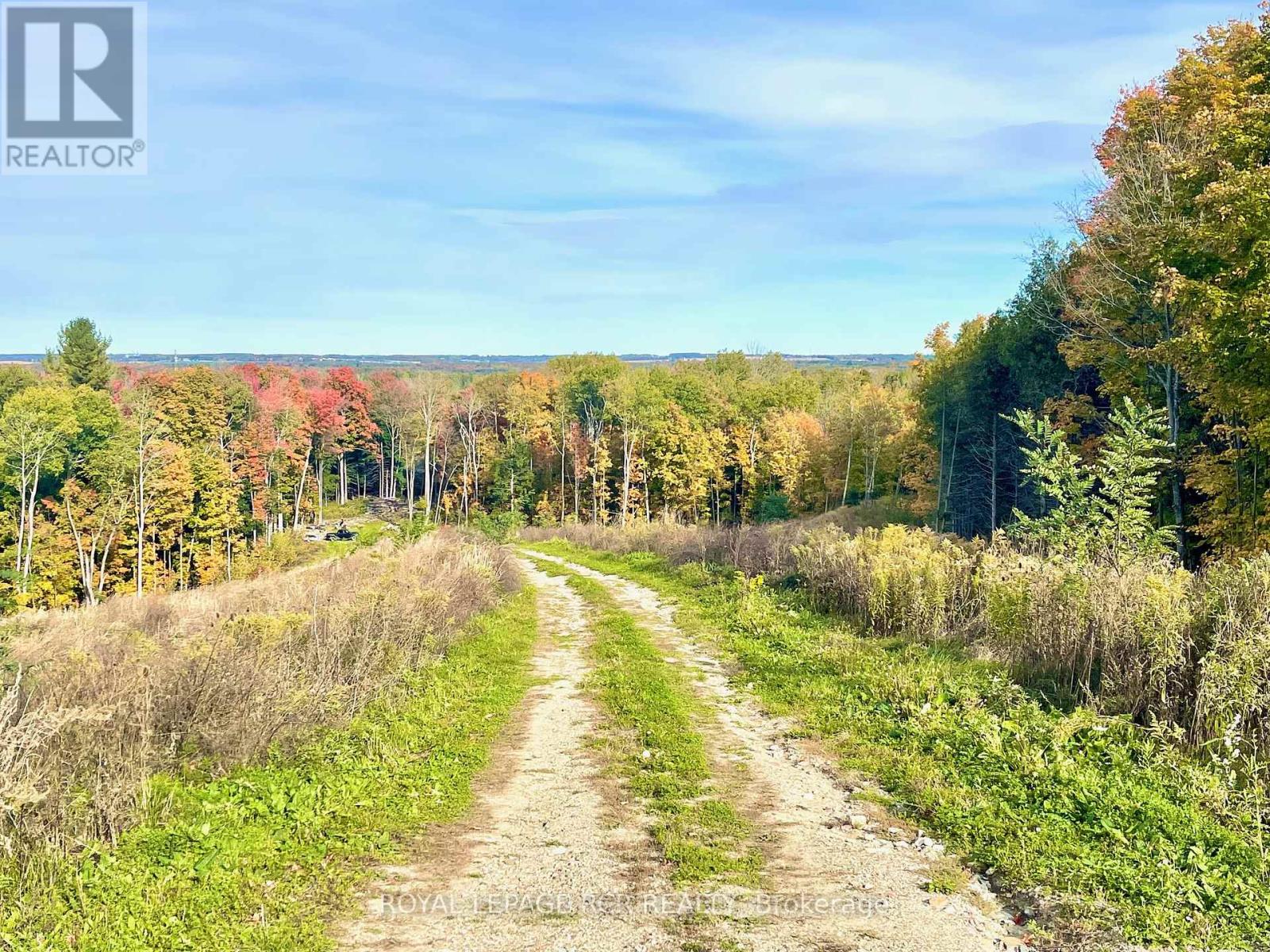 6651 3rd Line, Essa, Ontario  L9R 1V2 - Photo 5 - N12354601