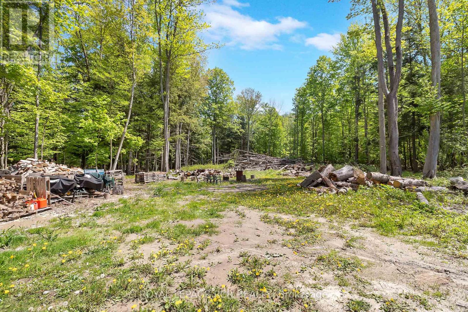 6651 3rd Line, Essa, Ontario  L9R 1V2 - Photo 6 - N12354601