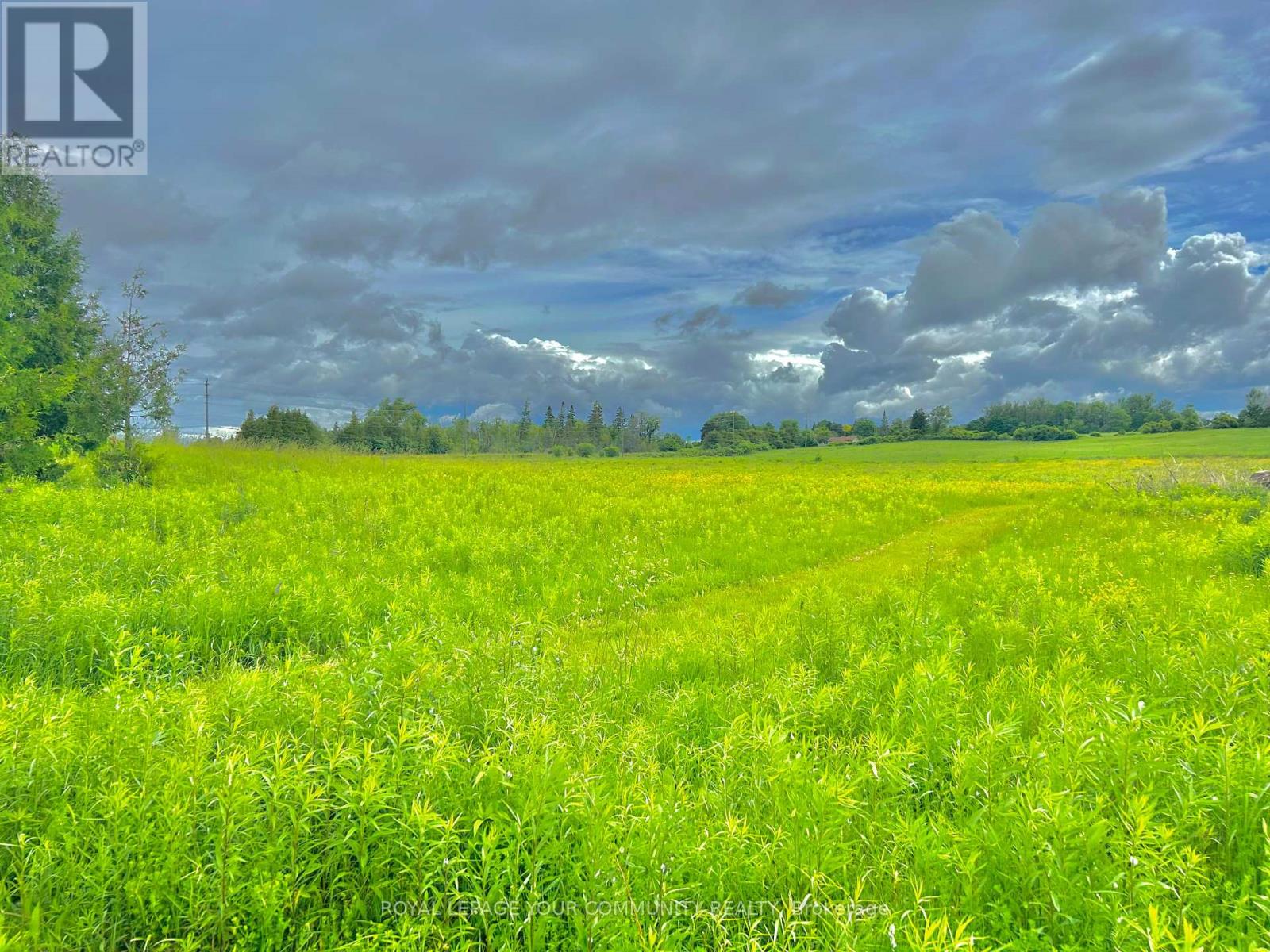 2236 County 36 Road, Kawartha Lakes (Verulam), Ontario  K0M 1L0 - Photo 46 - X12272253