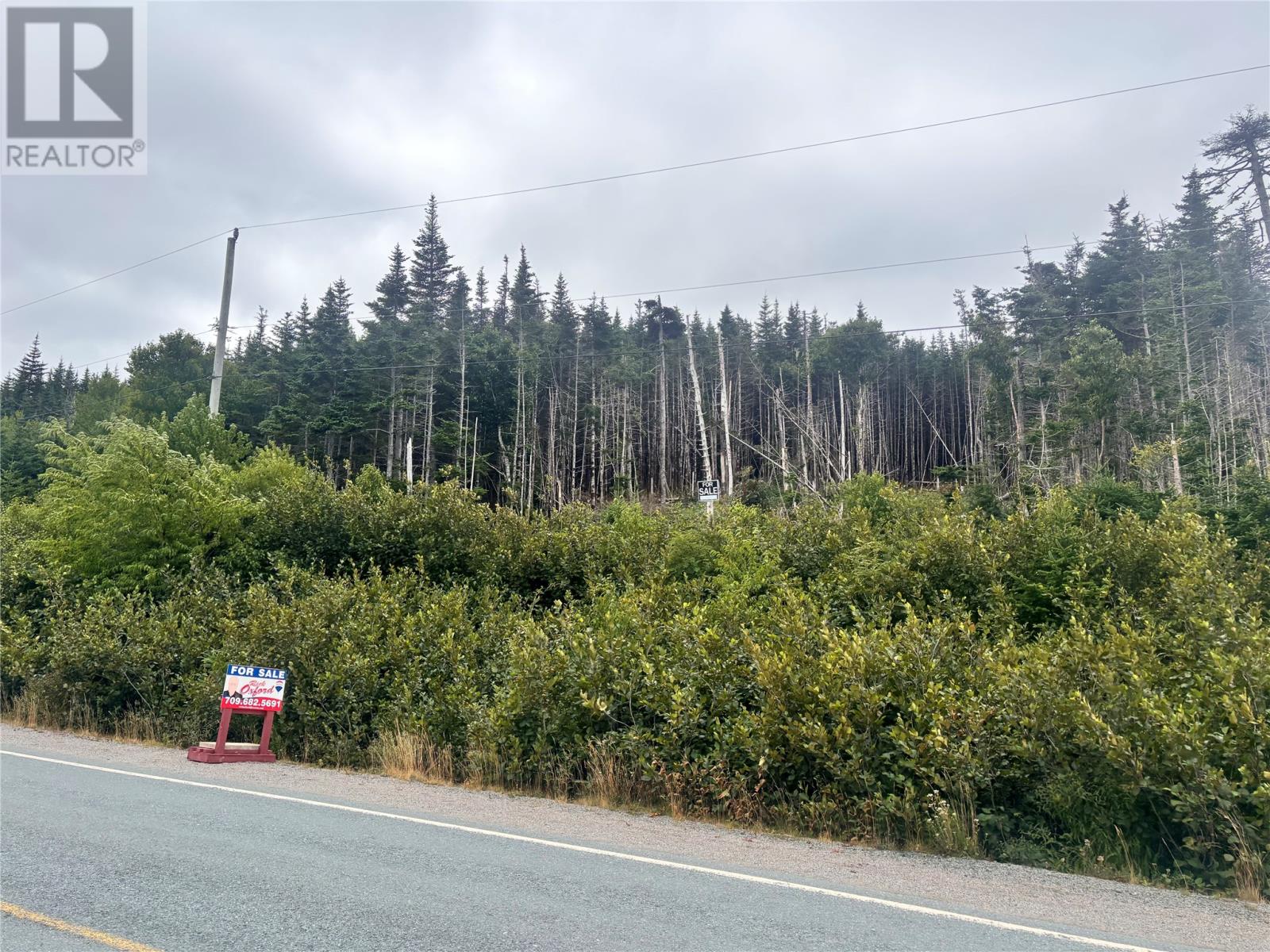 Lot 13 Main Highway Highway, Ferryland, Newfoundland & Labrador  A0A 2H0 - Photo 1 - 1289469