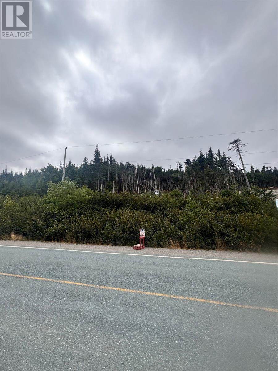 Lot 13 Main Highway Highway, Ferryland, Newfoundland & Labrador  A0A 2H0 - Photo 2 - 1289469