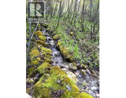 549 ROSEBUD LAKE Road Nelson South/Salmo Rural
