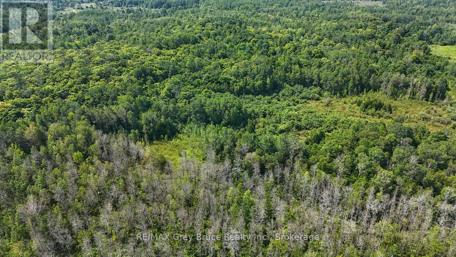 65 Lawrence Road, South Bruce Peninsula, Ontario  N0H 2T0 - Photo 45 - X12108873