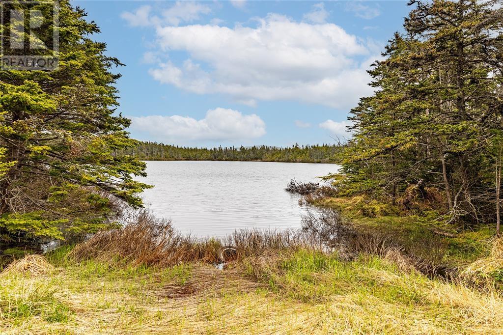 1290 Portugal Cove Road, Portugal Cove-St Philips, Newfoundland & Labrador  A1M 3L8 - Photo 31 - 1289477