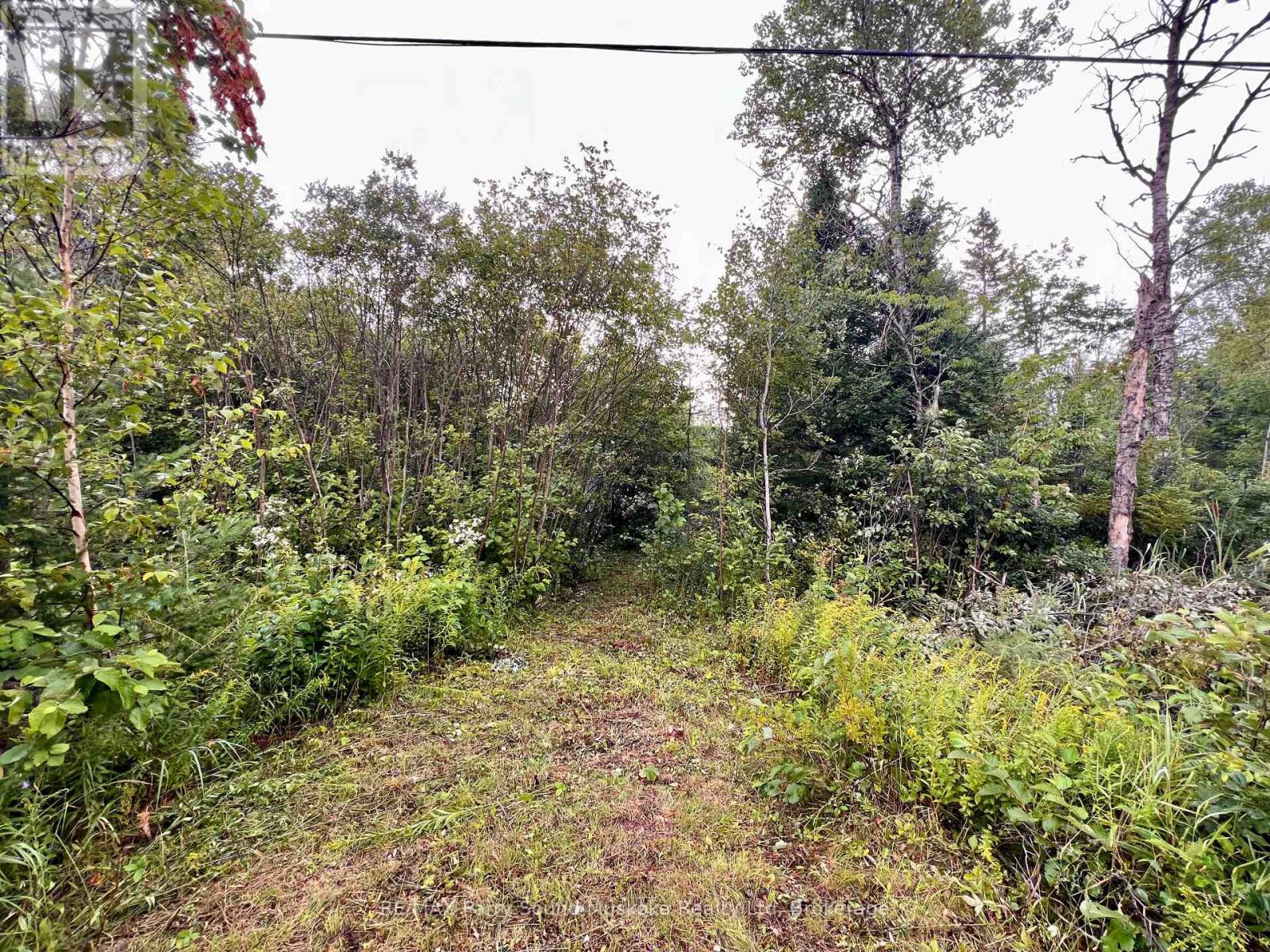 6512 HIGHWAY 124 520 HIGHWAY, Magnetawan, Ontario