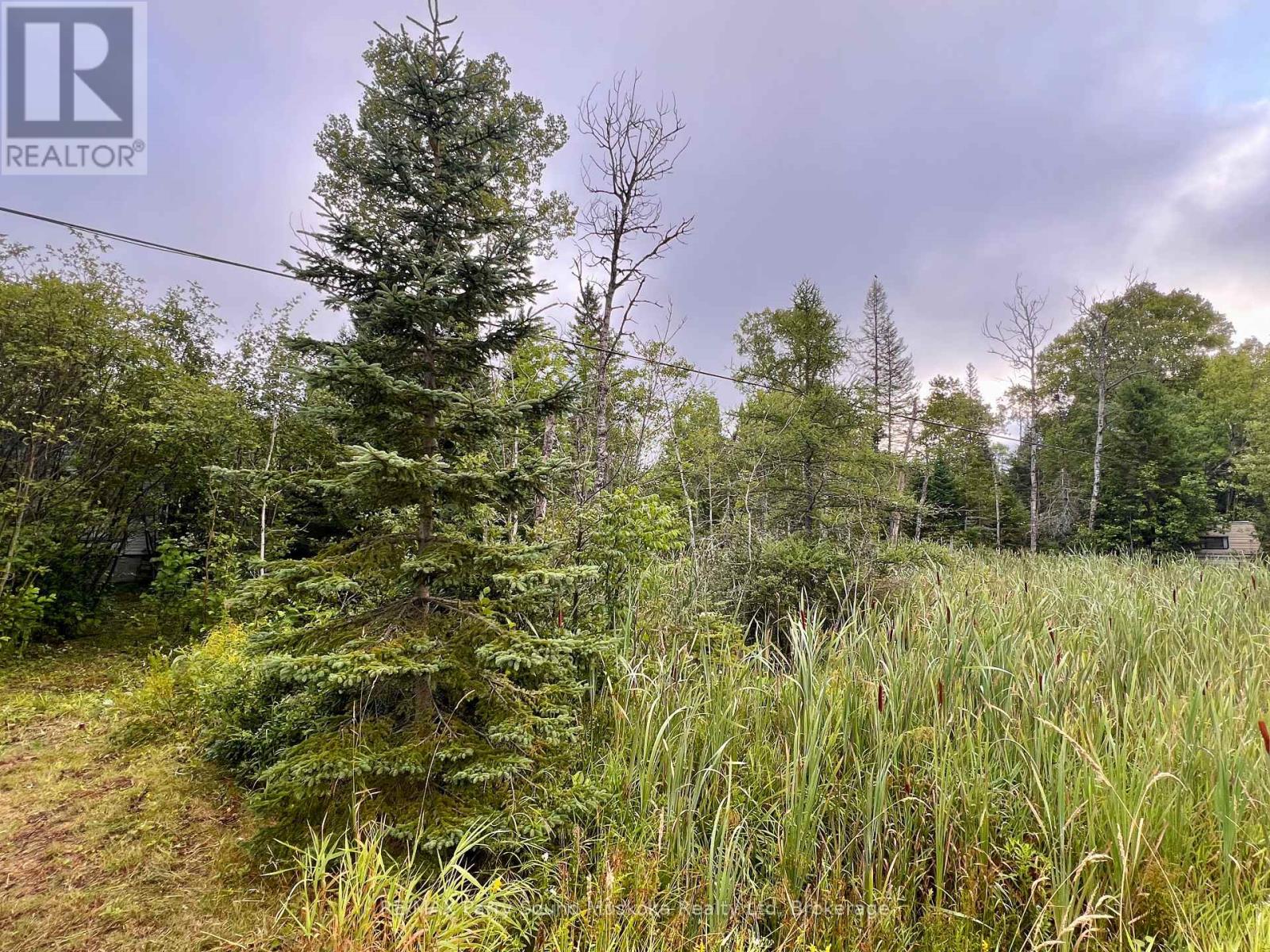 6512 Highway 124 520 Highway, Magnetawan, Ontario  P0A 1A0 - Photo 4 - X12354976
