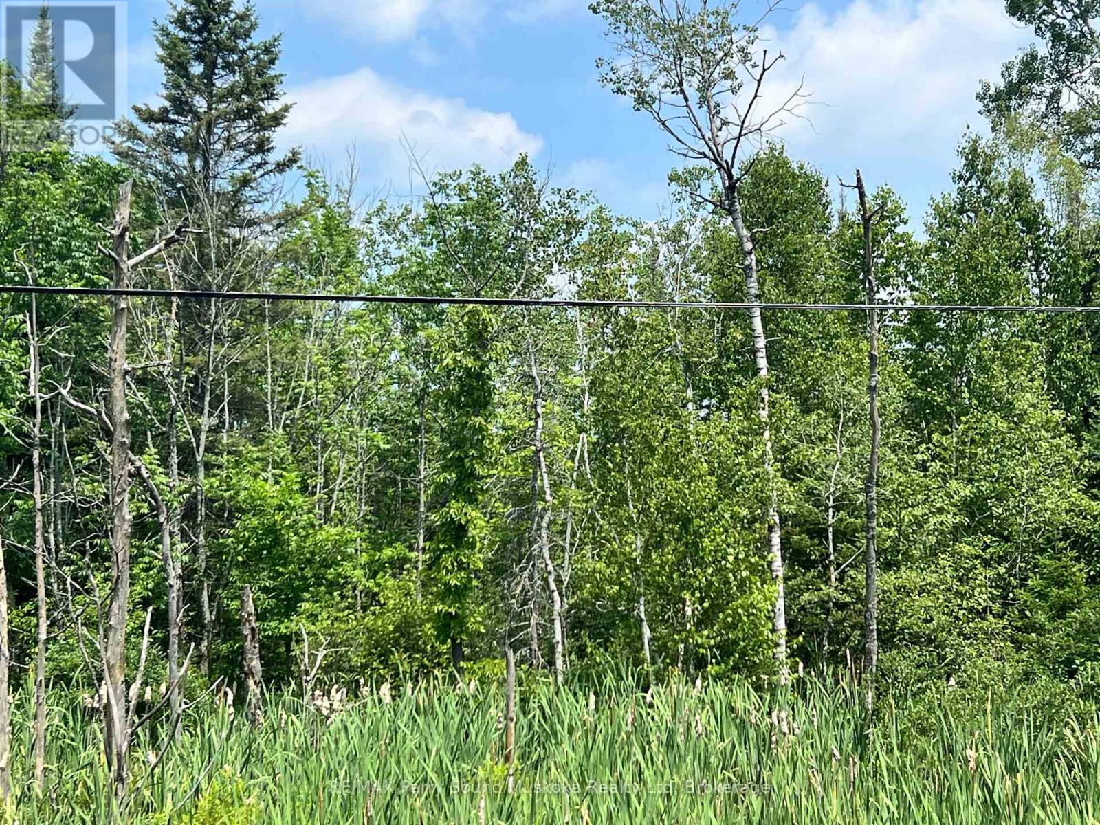 6512 Highway 124 520 Highway, Magnetawan, Ontario  P0A 1A0 - Photo 6 - X12354976