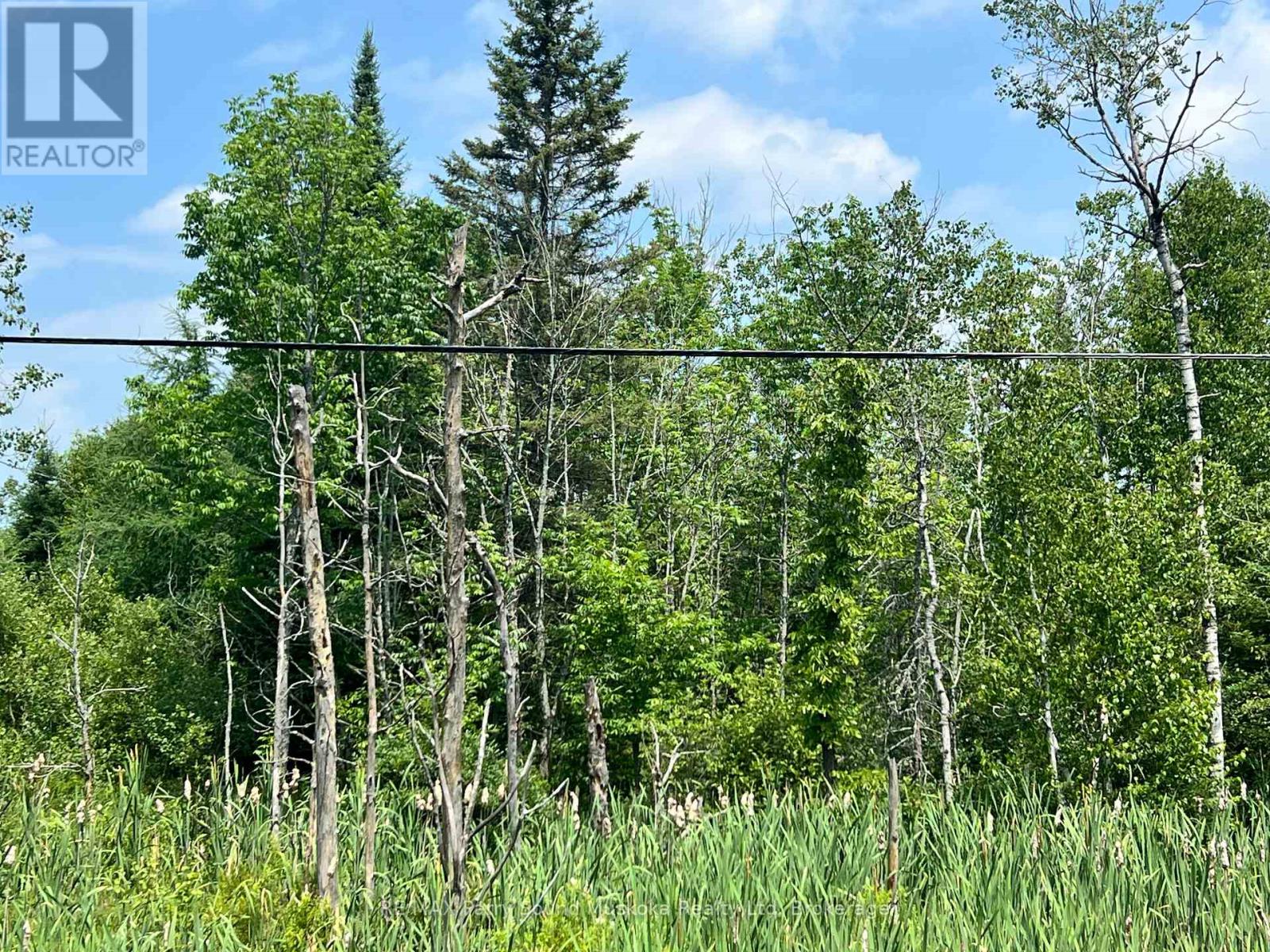6512 Highway 124 520 Highway, Magnetawan, Ontario  P0A 1A0 - Photo 7 - X12354976
