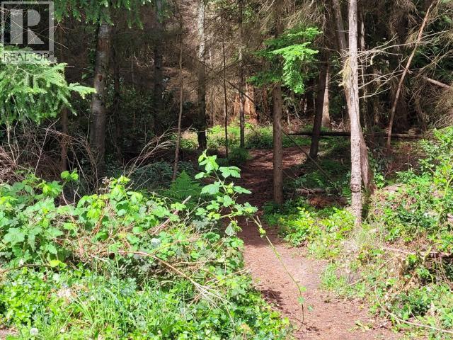 3616 Manitoba Ave, Powell River, British Columbia   - Photo 41 - 19291