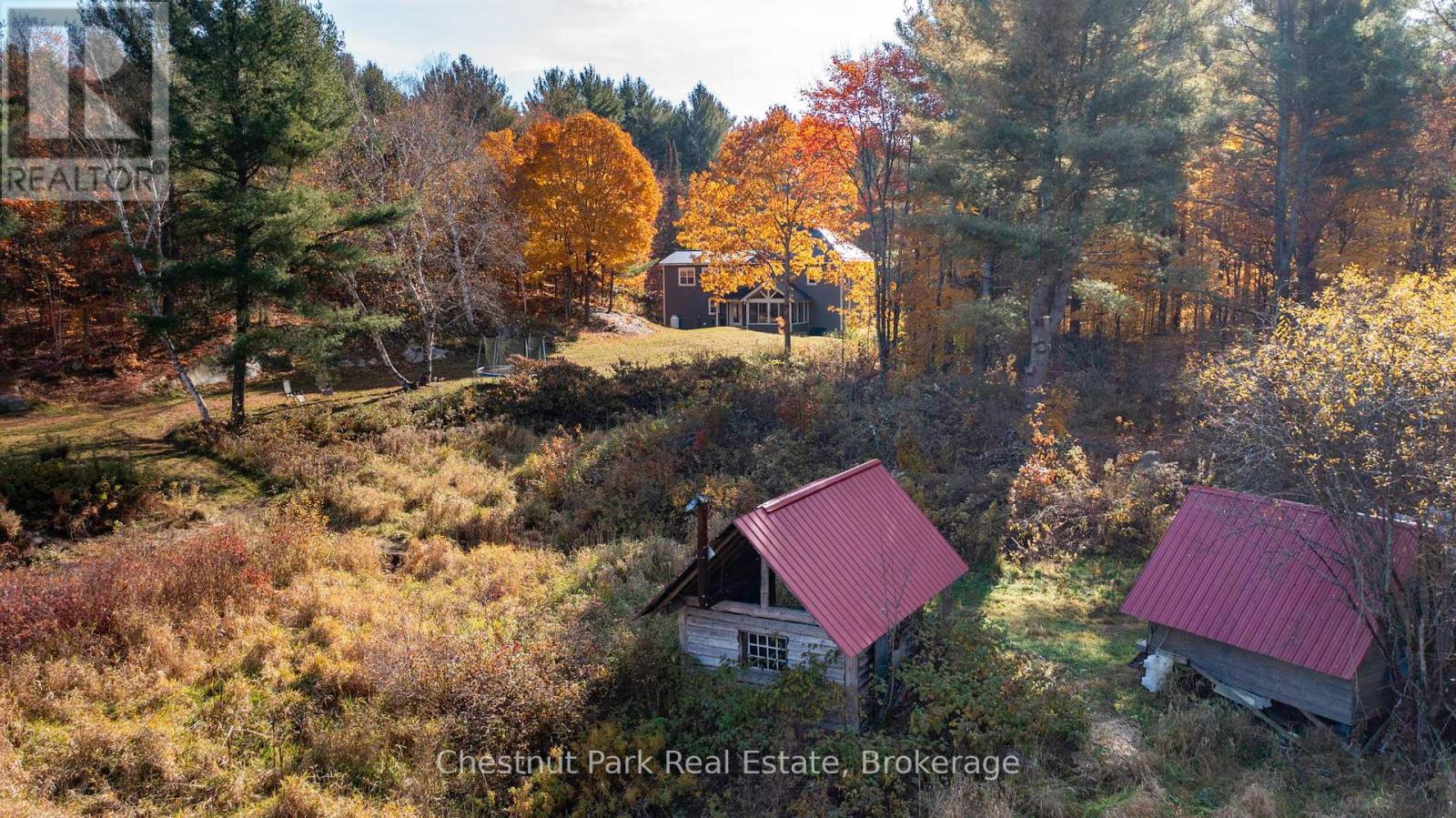 1236 Butter & Egg Road, Muskoka Lakes, Ontario  P1L 1X4 - Photo 2 - X12260460