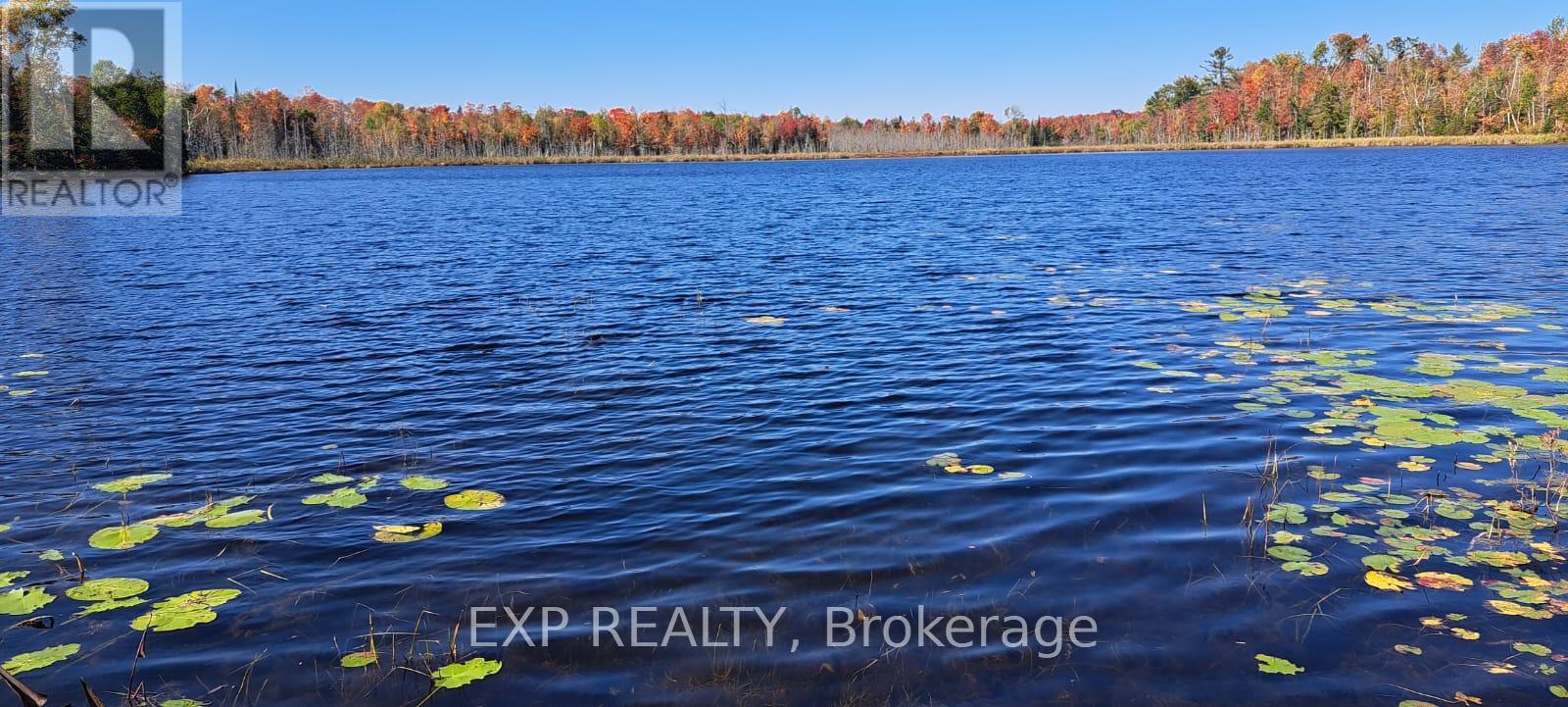 146 THANET LAKE ROAD, Wollaston, Ontario