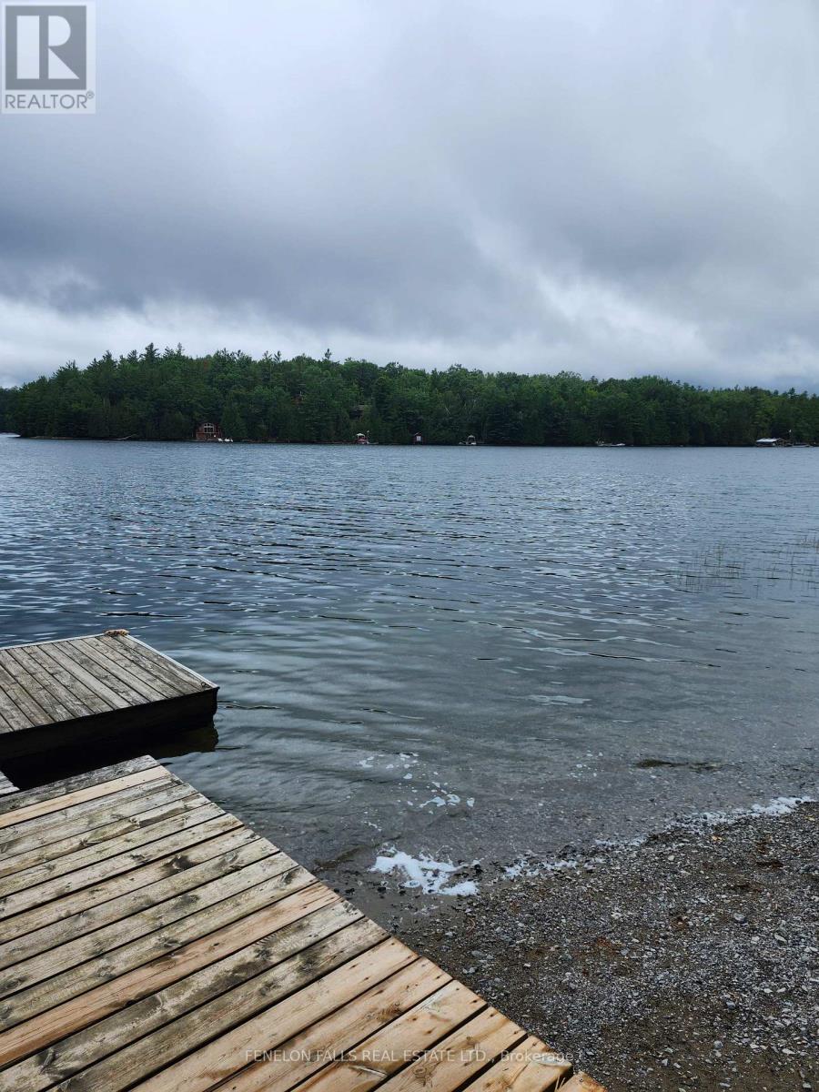 1172 Crystal Lake Road, Trent Lakes, Ontario  K0M 2A0 - Photo 18 - X12355147